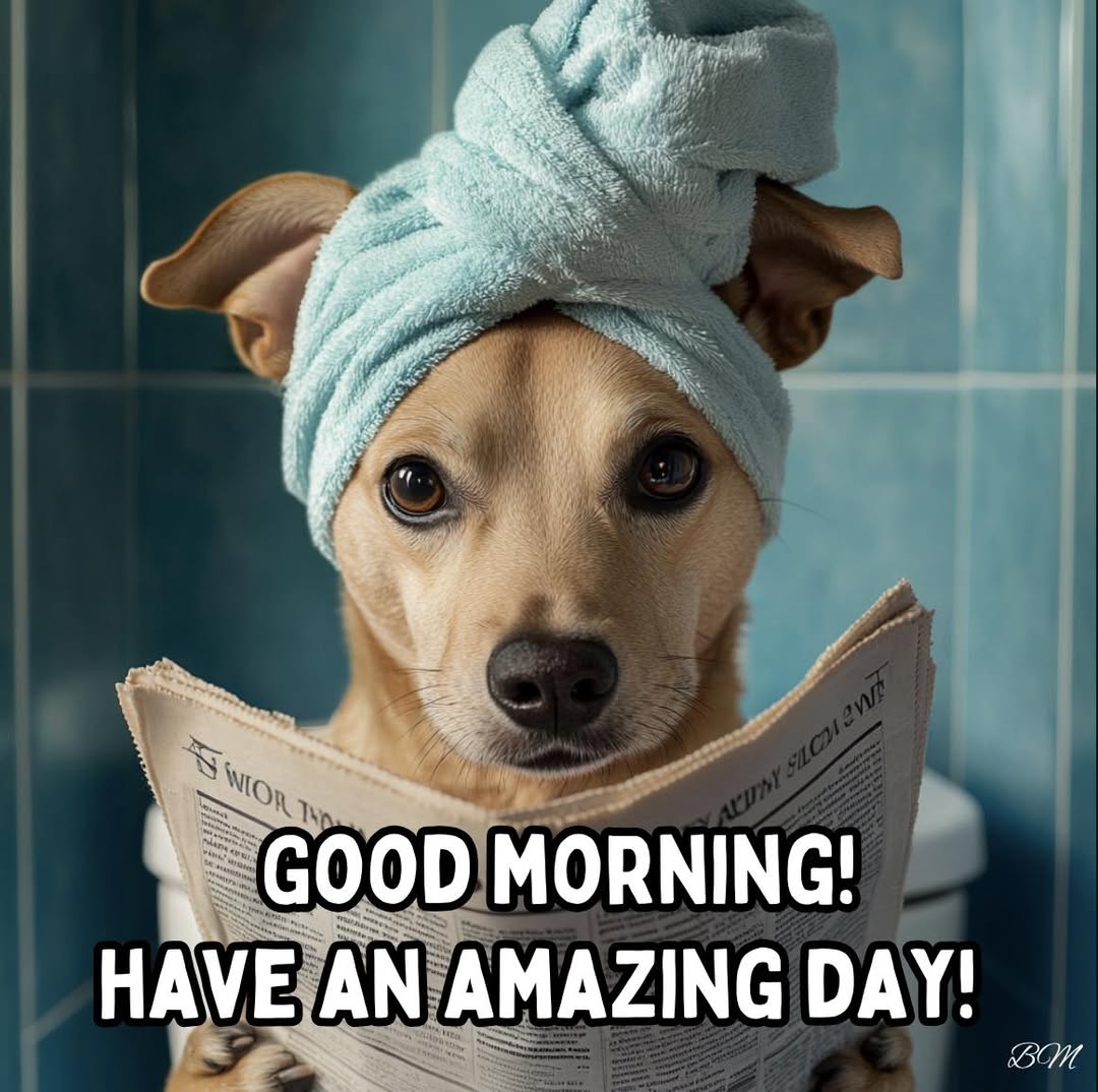 Small dog in a towel turban holding a newspaper with a good morning message