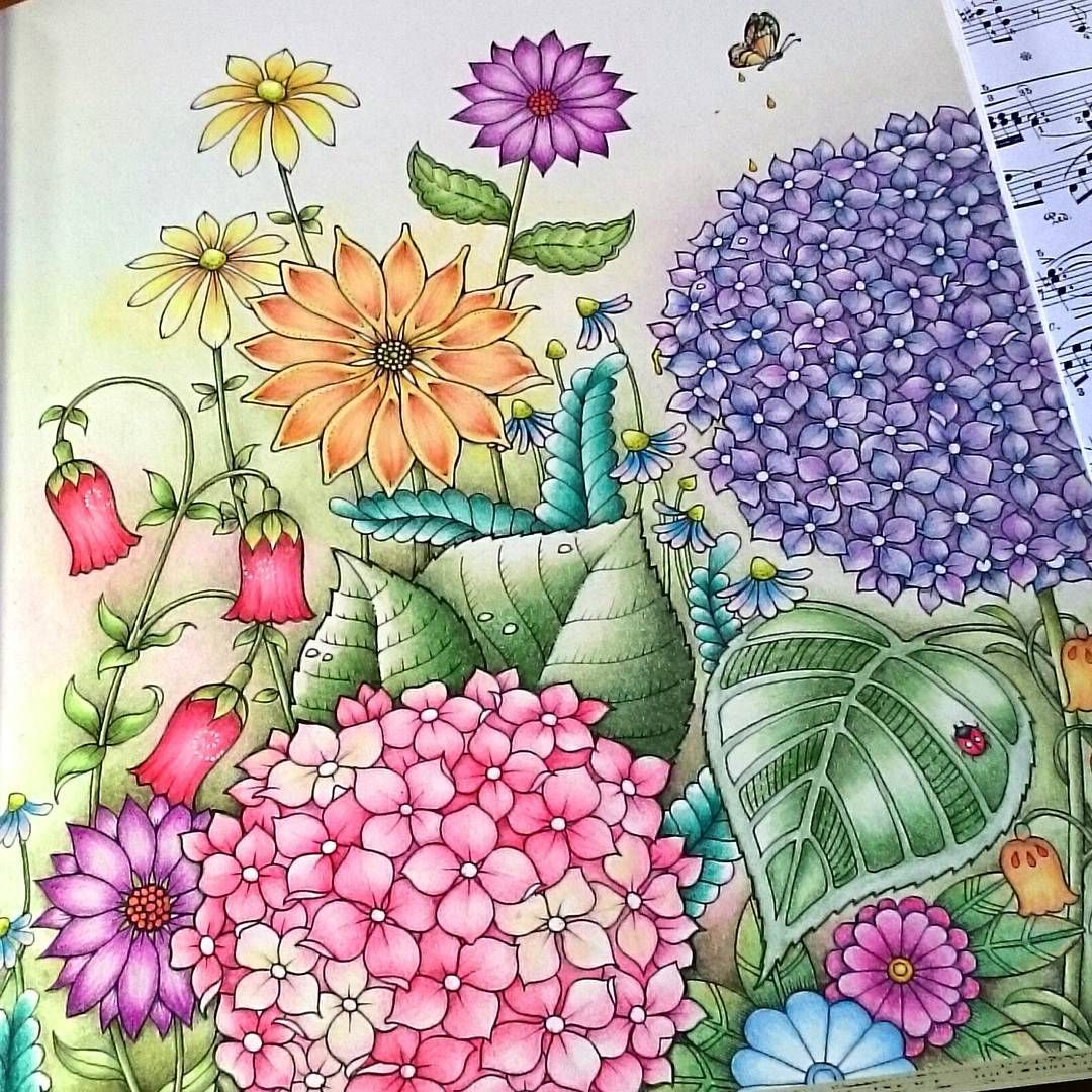 Colorful Flower Garden Drawing