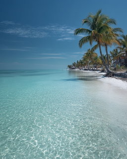 Turquoise ocean water and white sand beach with palm trees along the shore under clear blue sky