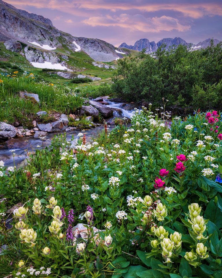Alpine wildflowers beside a mountain stream with rocky peaks and a pink sky