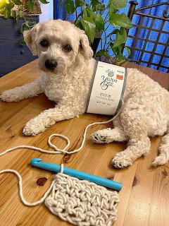 Fluffy Dog with Crochet