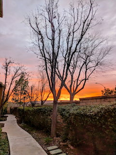 Bare trees silhouetted against colorful sunset sky with orange, pink and purple clouds above residential street