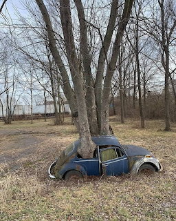 Tree Growing Through Old Car