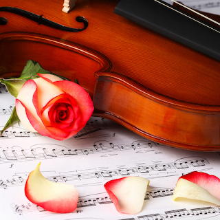 Violin with Rose on Sheet Music