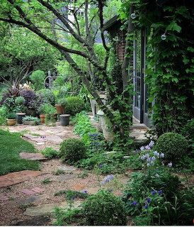 Stone path winding through lush garden with trees, flowering plants, pots, and ivy-covered cottage wall