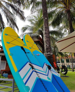 Blue and yellow windsurfing sail standing upright near palm trees at a tropical resort