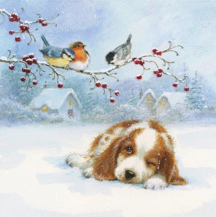 Brown and white puppy resting in snow with two birds on a winter branch above