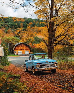 Blue vintage pickup truck on autumn driveway with colorful fall trees and barn