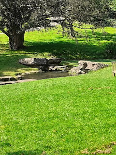 Green lawn with a small rocky stream under a large tree in a park