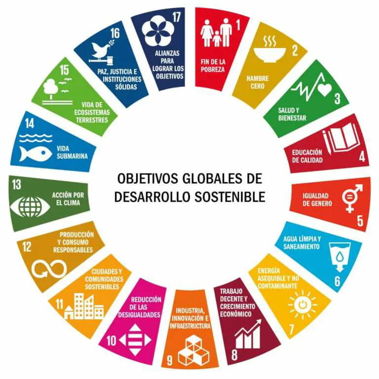 Colorful circular infographic showing the 17 Sustainable Development Goals with icons and Spanish labels