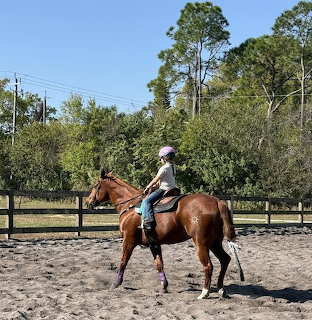 Young woman in casual clothes riding a brown horse in a sandy outdoor arena with trees in the background
