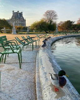 Green chairs by pond in Tuileries Garden with Louvre building and autumn trees