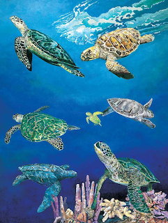Sea turtles