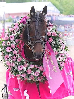 Champion Horse with Floral Wreath