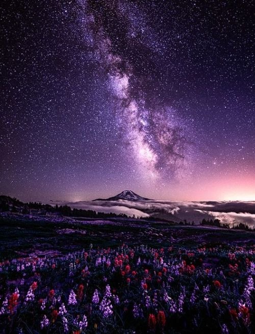 Milky Way galaxy over a mountain with wildflowers under a purple starry night sky