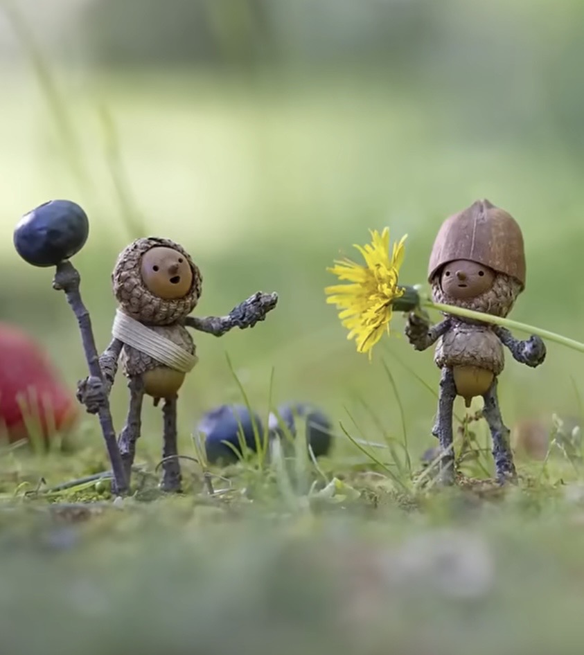 Two miniature acorn characters with knit caps standing in grass, one holding a dandelion and one holding a strawberry