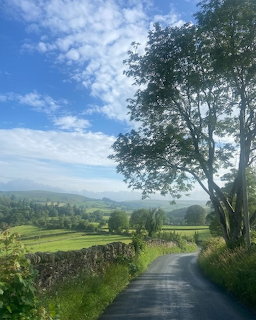 Country lane with stone walls, tall trees, and green fields in Yorkshire under a blue sky