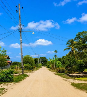 Sandy tropical road with palm trees, utility poles, and a bright blue sky