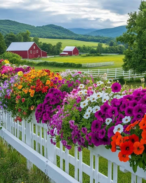 Flowers on White Fence