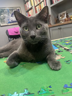 Gray cat with green eyes lying on a green mat with scattered jigsaw puzzle pieces