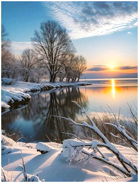 Snowy lakeshore with bare trees reflected in calm water at winter sunset
