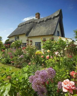Thatched cottage with yellow walls behind vibrant garden full of pink roses and purple flowers