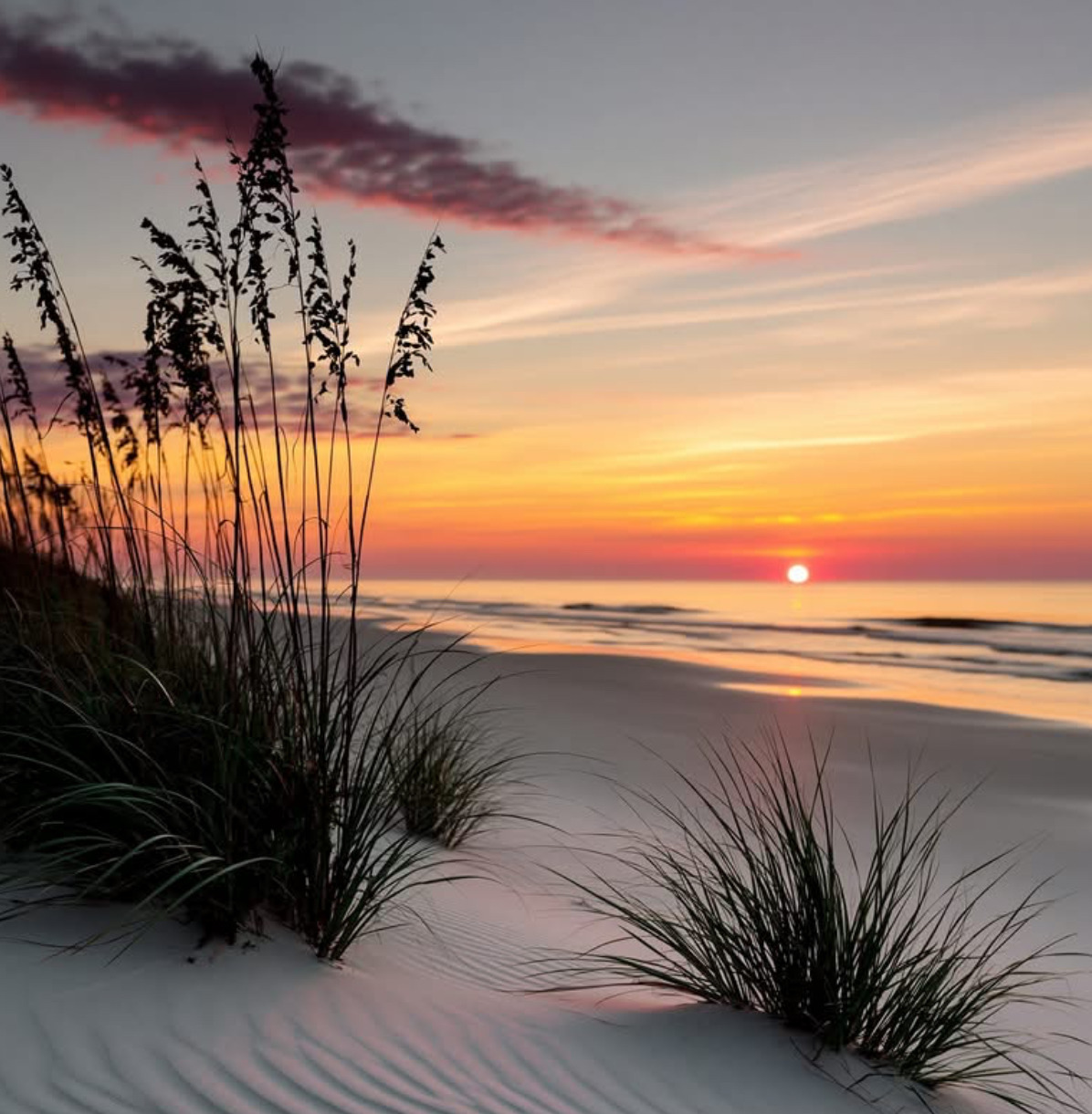 Sunrise over beach with dune grass silhouettes and orange sky reflecting on ocean
