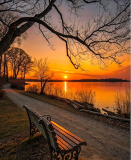Sunset over lake with park bench and silhouetted trees reflecting in water