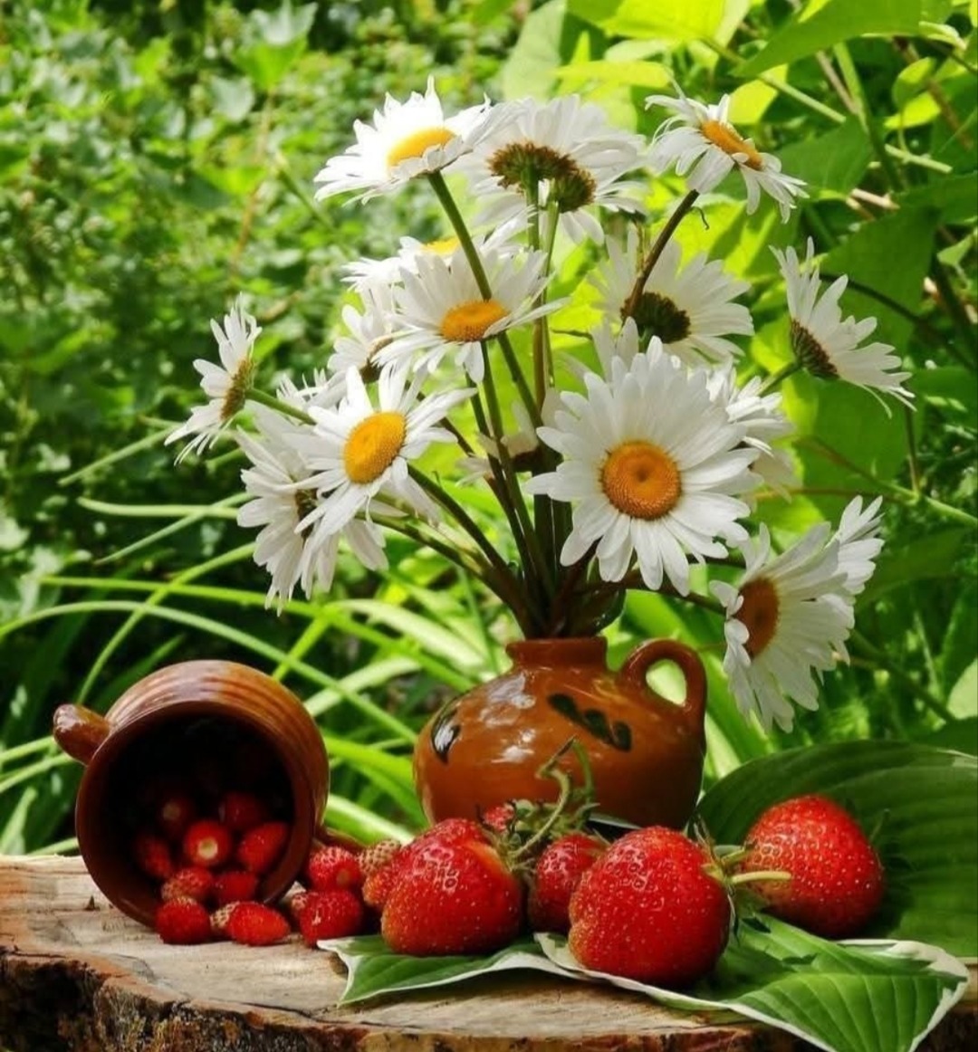 Daisies and Strawberries