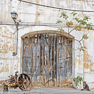 Farmyard Cat and Door