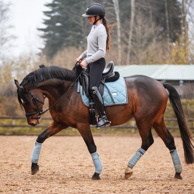 Rider practicing dressage on a brown horse in an outdoor arena