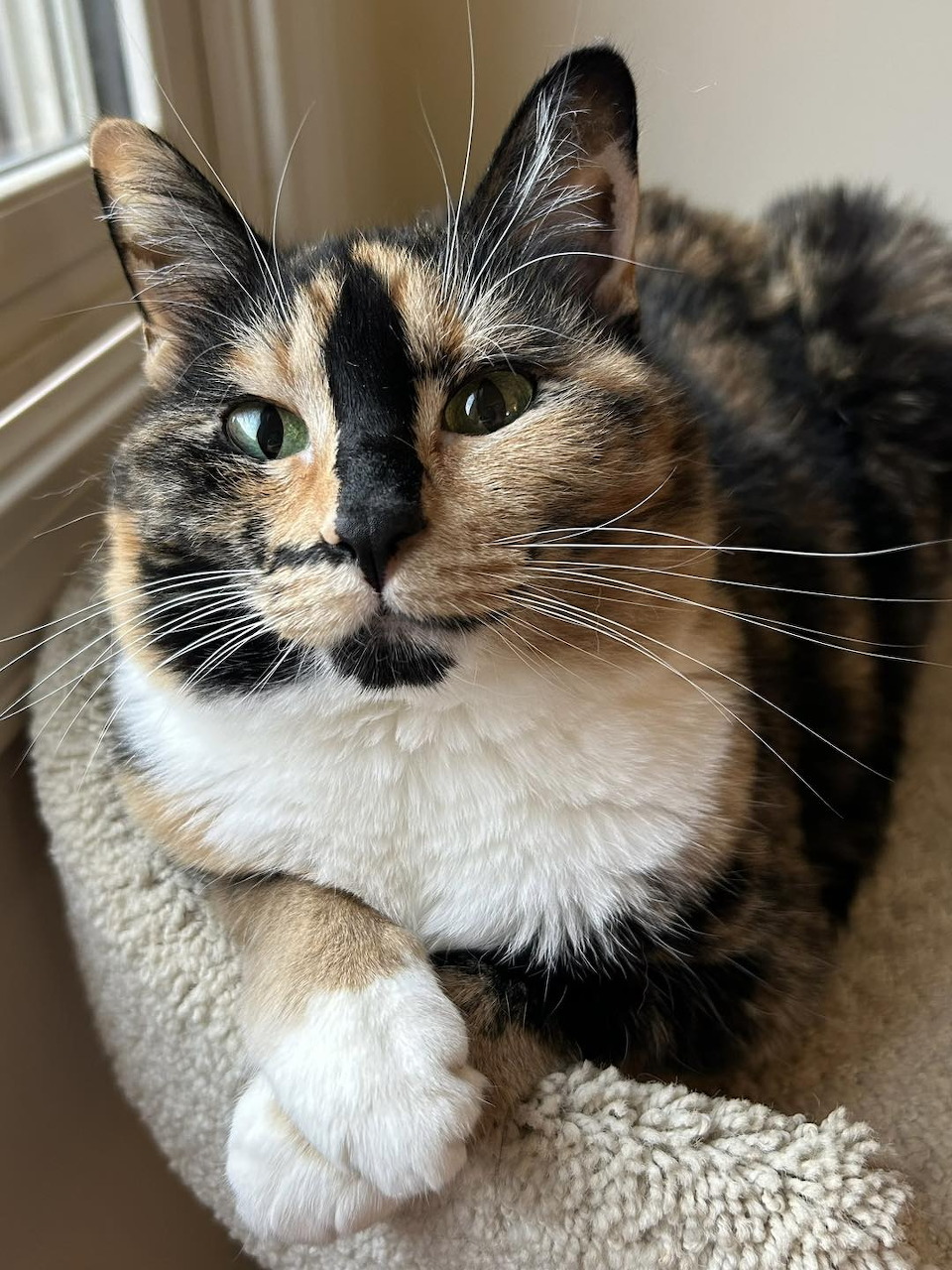 Portrait image with undetermined visible content