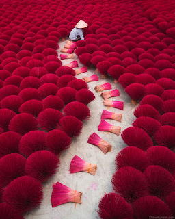 Worker in conical hat walking between rows of red incense stick bundles drying on ground