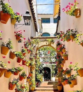 Andalusian Flower Patio Cordoba