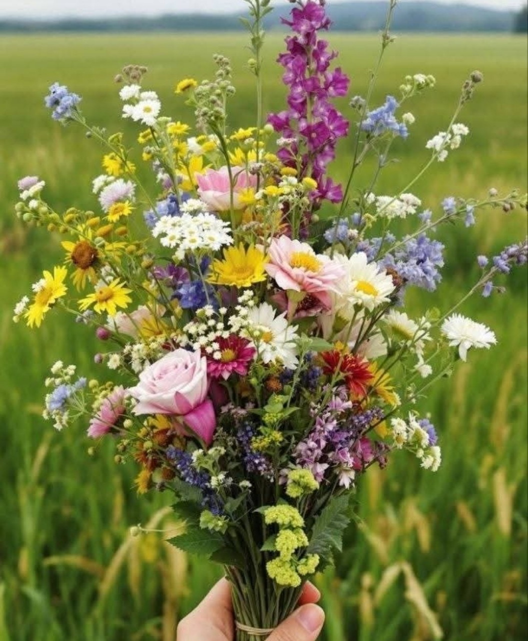 Colorful wildflower bouquet held in hand with green field background