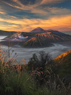 Sunrise over Mount Bromo volcanic crater with orange sky and mist in caldera, vegetation in foreground