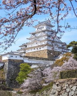 Himeji Castle framed by blooming cherry blossoms and stone walls under a blue sky