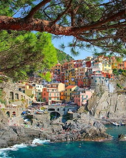 Colorful buildings of Manarola village on rocky cliffs above blue sea framed by pine branches