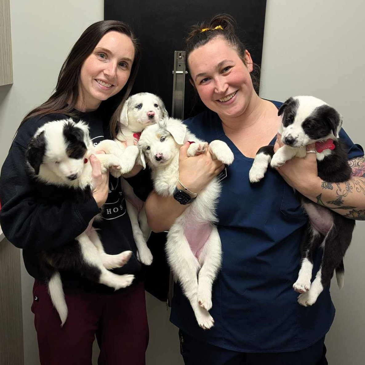 Two women holding four puppies indoors and smiling at the camera