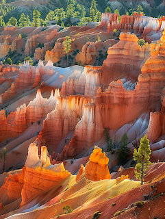 Bryce Canyon Hoodoos