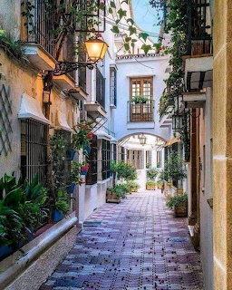 Narrow cobblestone alley with plants and colorful buildings in Mediterranean style