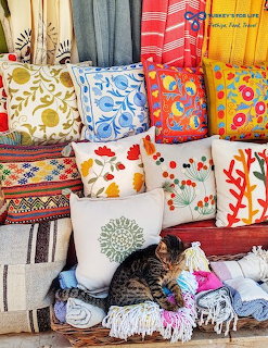 Tabby cat sleeping among colorful embroidered cushions and woven textiles at a shop display