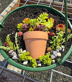 Assorted succulent plants in green pot with pebbles and small terracotta pot in center
