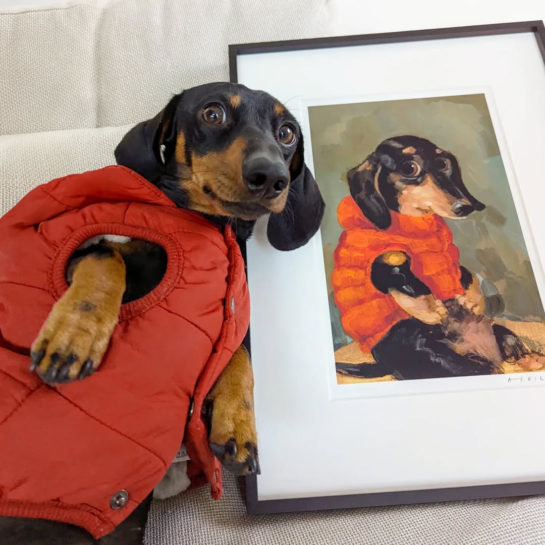 Dachshund in a red vest beside a framed portrait of the same dog on a couch