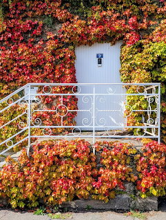 White door surrounded by red and orange autumn ivy with a white metal railing and steps