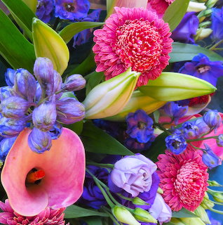 Colorful flower bouquet with pink gerberas, blue delphiniums, pink calla lily, and purple roses