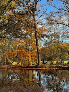 Autumn trees with orange and yellow leaves reflected in a still pond under blue sky
