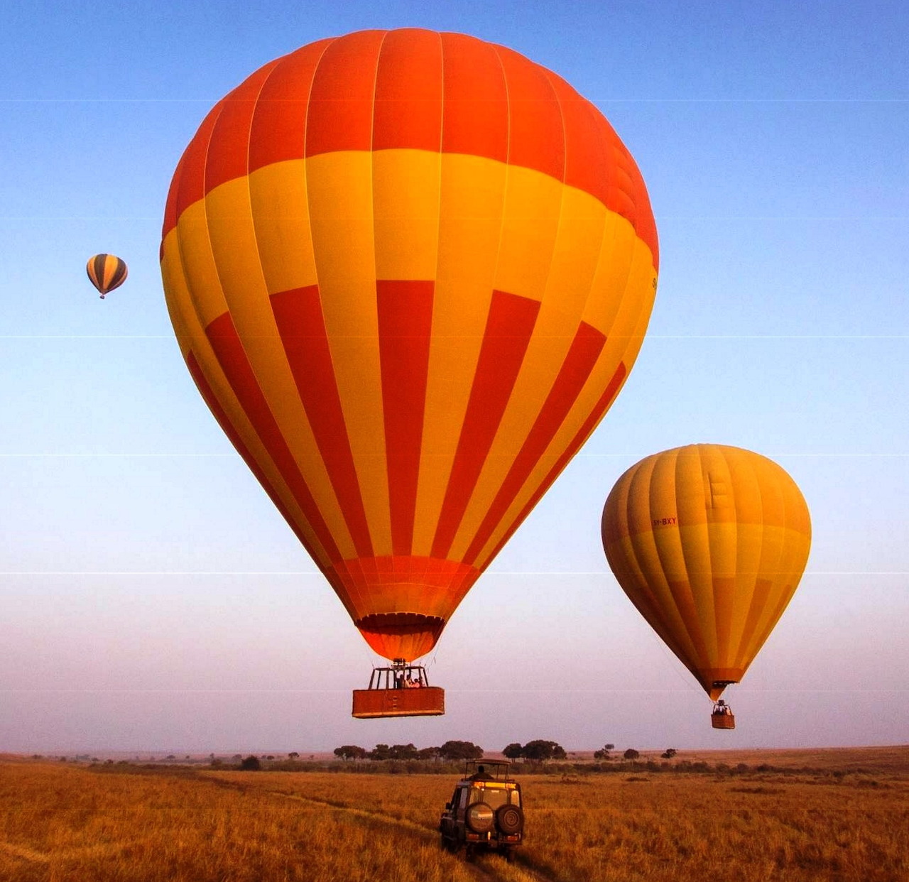 Three hot air balloons over a dry field with a small vehicle beneath a clear blue sky