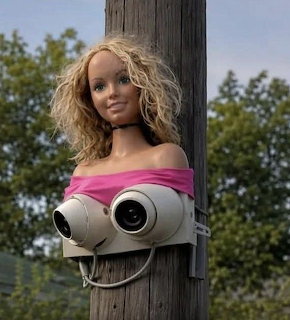 Security camera on a wooden pole decorated with a blonde doll head and pink top