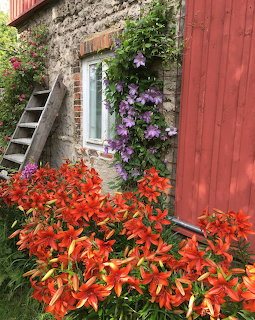 Savikulma Finland Cottage